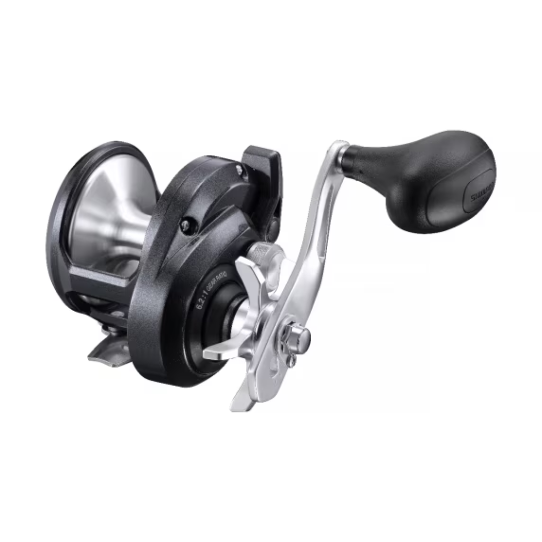 Shimano Torium A